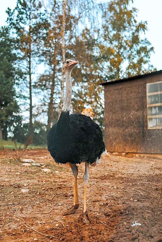 Weavers' Guest House Kalndaki