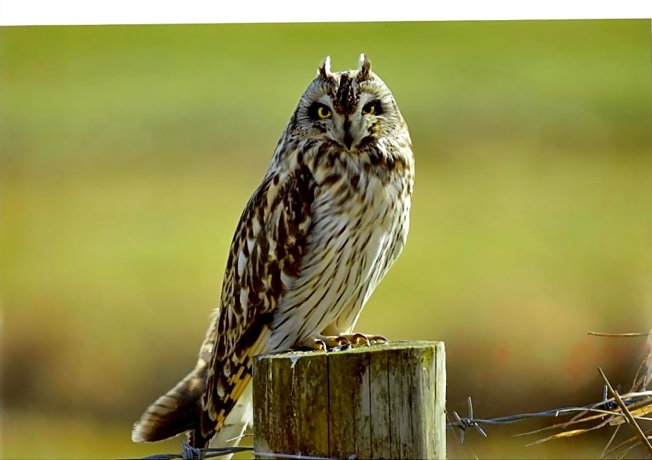 Highfields Holidays bed & breakfast