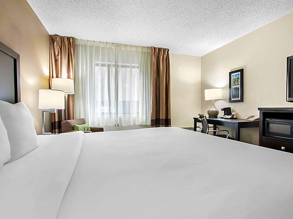 Comfort Inn Detroit Downtown