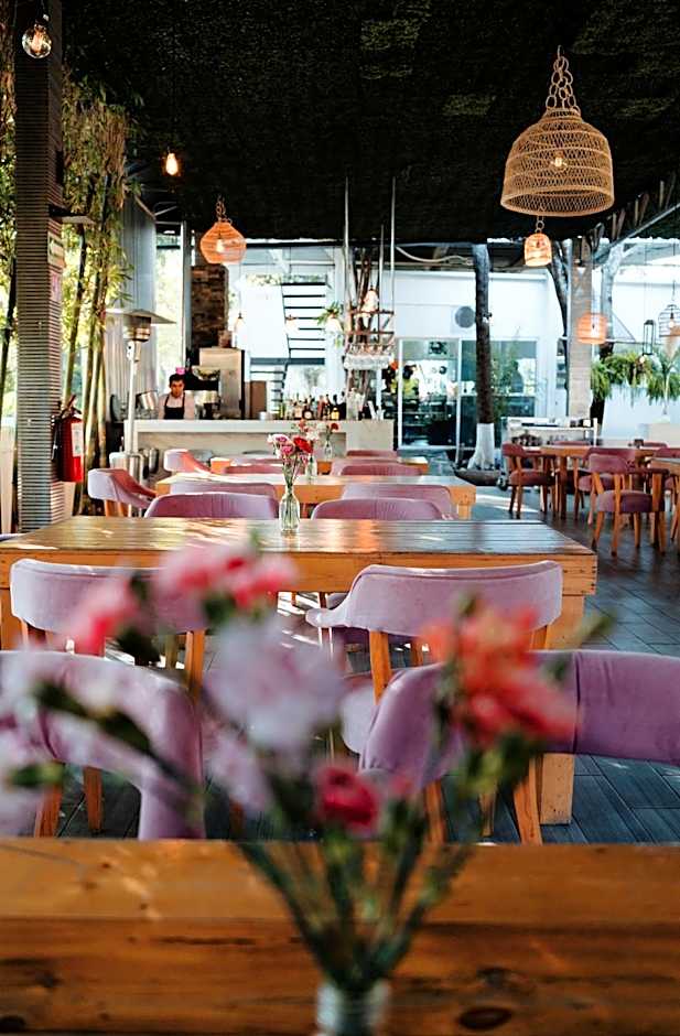 Rancho Macloy Hotel Spa & Social Events