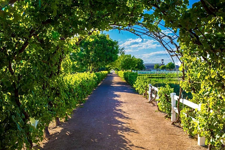 Hyatt Place Phoenix/ Mesa