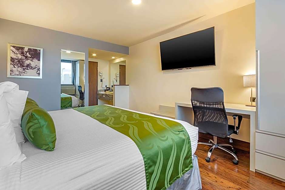 Quality Inn Chihuahua San Francisco