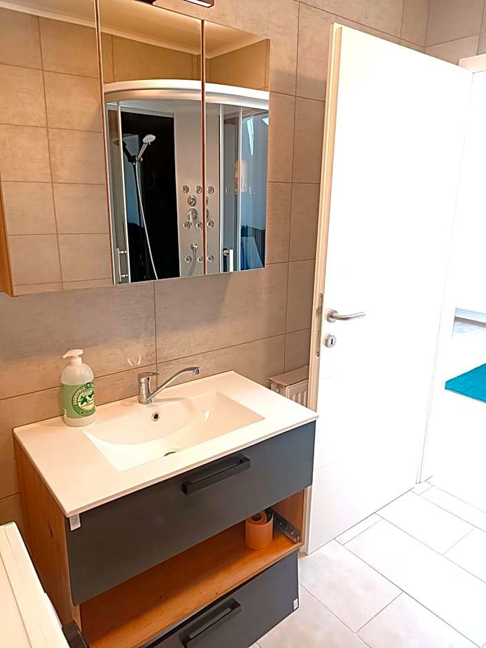 Apartments Romantic and Family Room Zemlinski