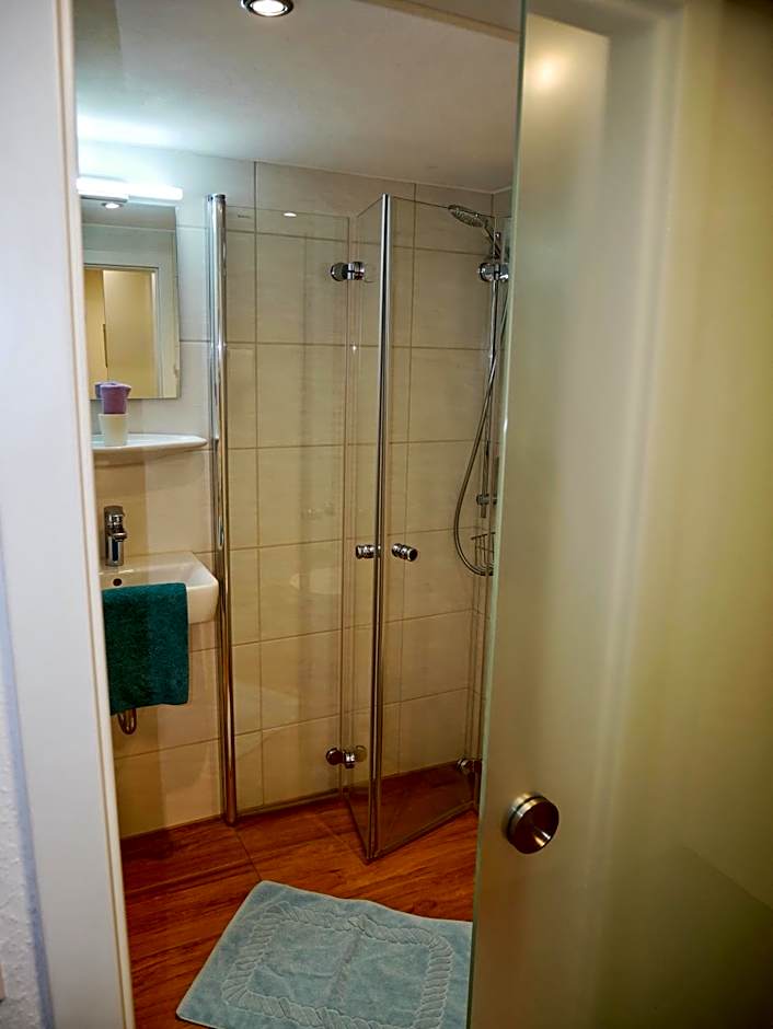 Wochner's Hotel-Sternen Am Schluchsee Hochschwarzwald