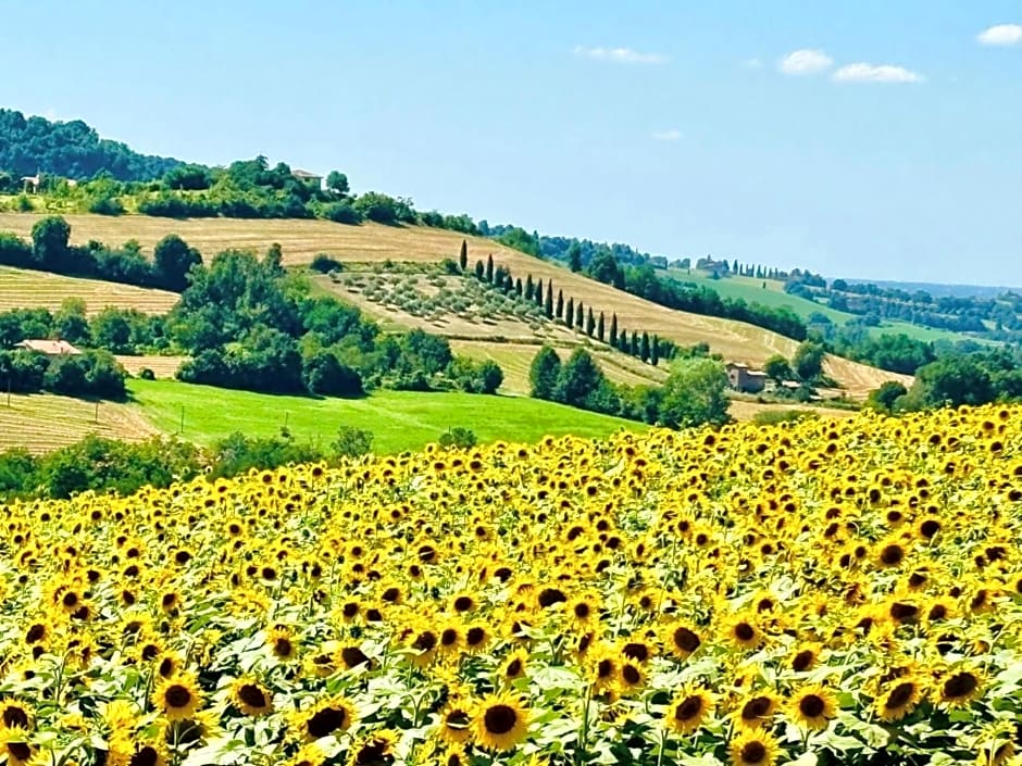 Casa Stella Country House