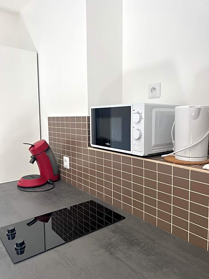 THEIA - Limoges Centre