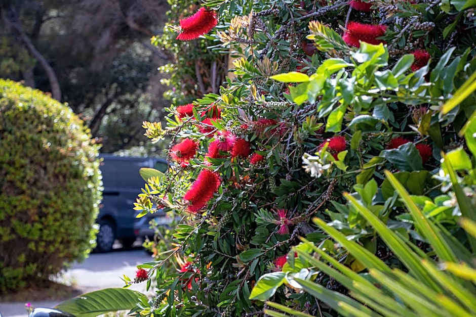 Hôtel Les Calanques