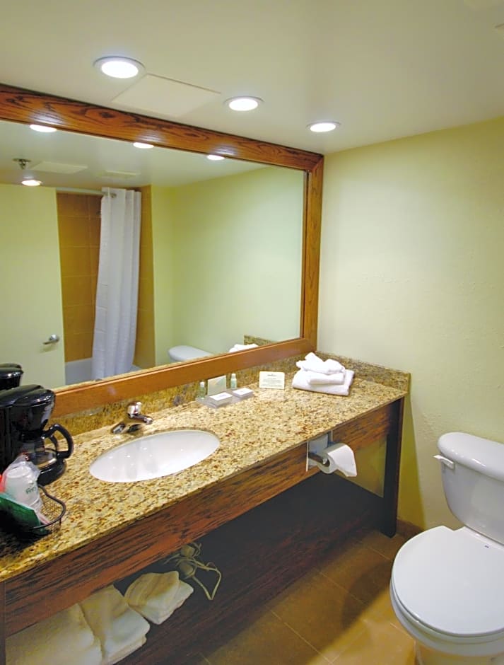 Holiday Inn Edison at Midtown By IHG