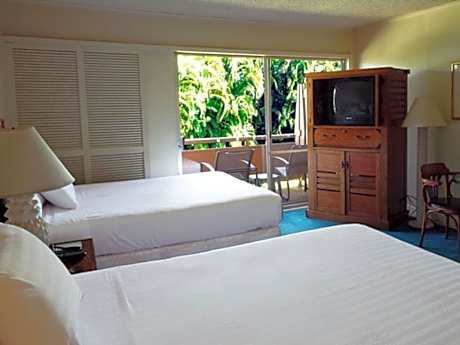 Deluxe Ocean View King or Queen Room