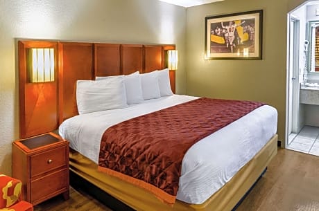 1 King Bed, No Smoking, Accessible Room