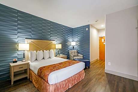 1 QUEEN BED,NSMK,HI SPEED NET,MICFRG,CFMKR,IRN,HAIR,CONTINENTAL BREAKFAST