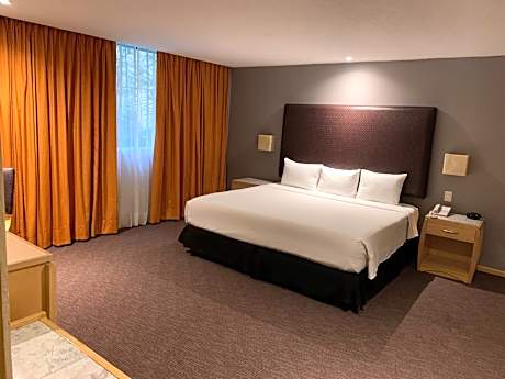 Junior Suite, 1 Queen Bed