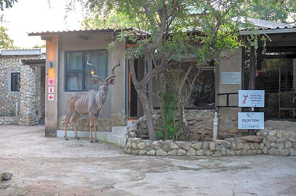 Foxy Crocodile Bush Lodge & Kruger Safaris