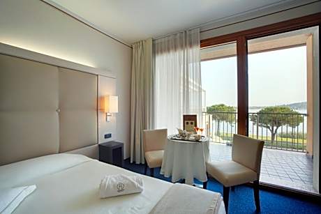 Deluxe Double or Twin Room with Lake View