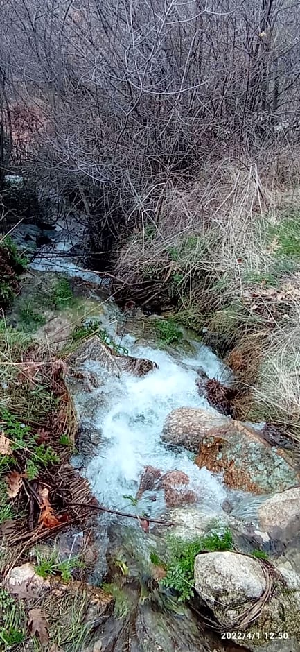 Casa de huéspedes Villa de las Hortensias