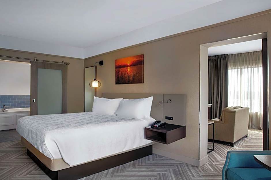 Hilton Garden Inn Mobile Downtown