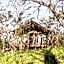 Mdluli Safari Lodge