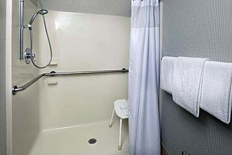 Suite, 1 Bedroom (1 King Bed and 1 Double Sofa Bed)