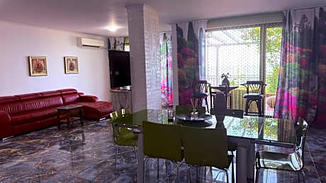 Penthouse Apartment