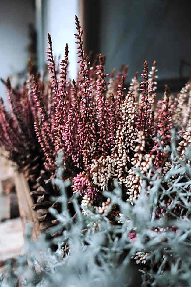 Berggasthof Hochpröller