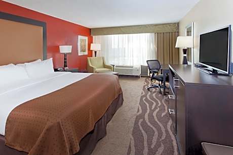 Standard King Room
