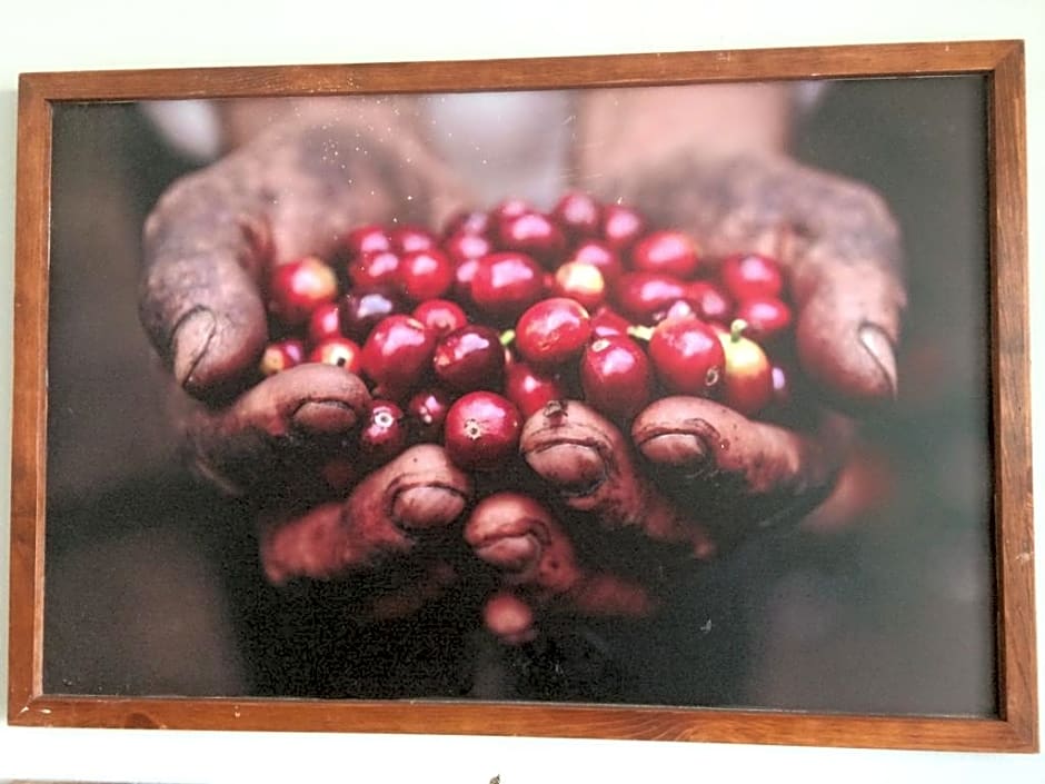 Coffea Garden cafe & stay