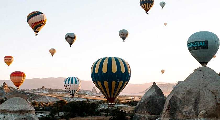 Antique Terrace Suites