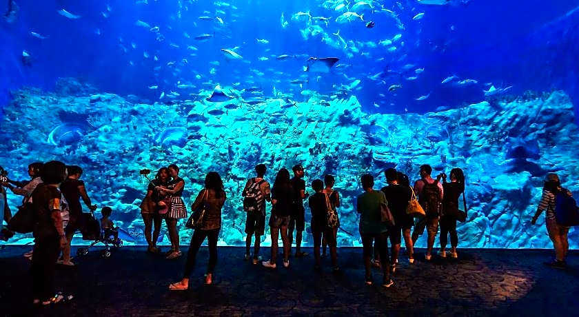 Traveller's Hostel (Hong Kong International)