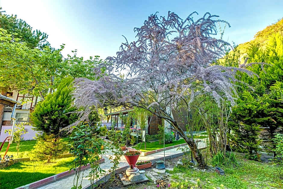 Park Mandalin Hotel - Adult only