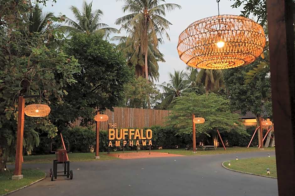 The Buffalo Amphawa