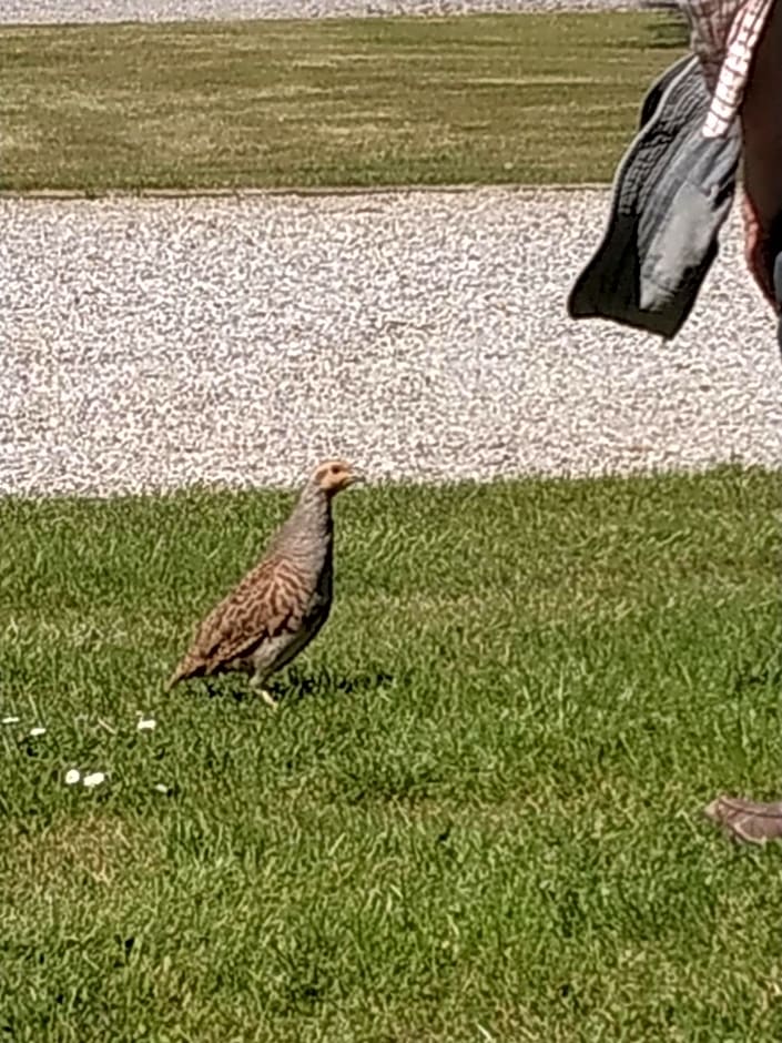 Chambres du Campreux