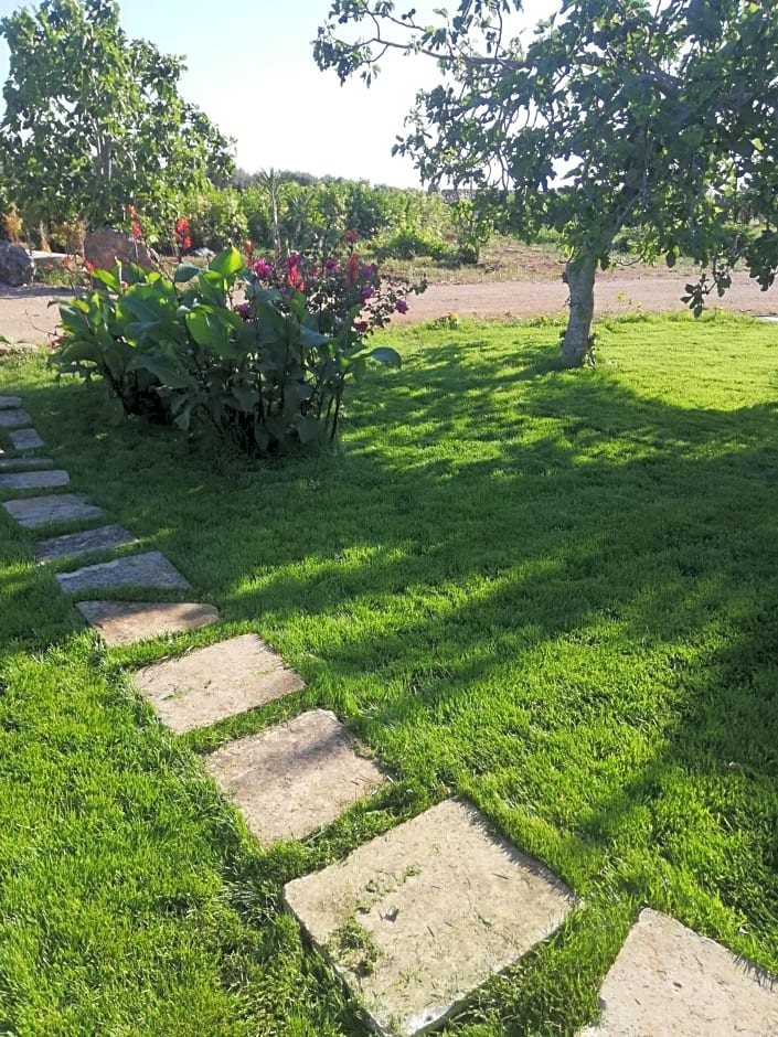 Il giardino dei tramonti