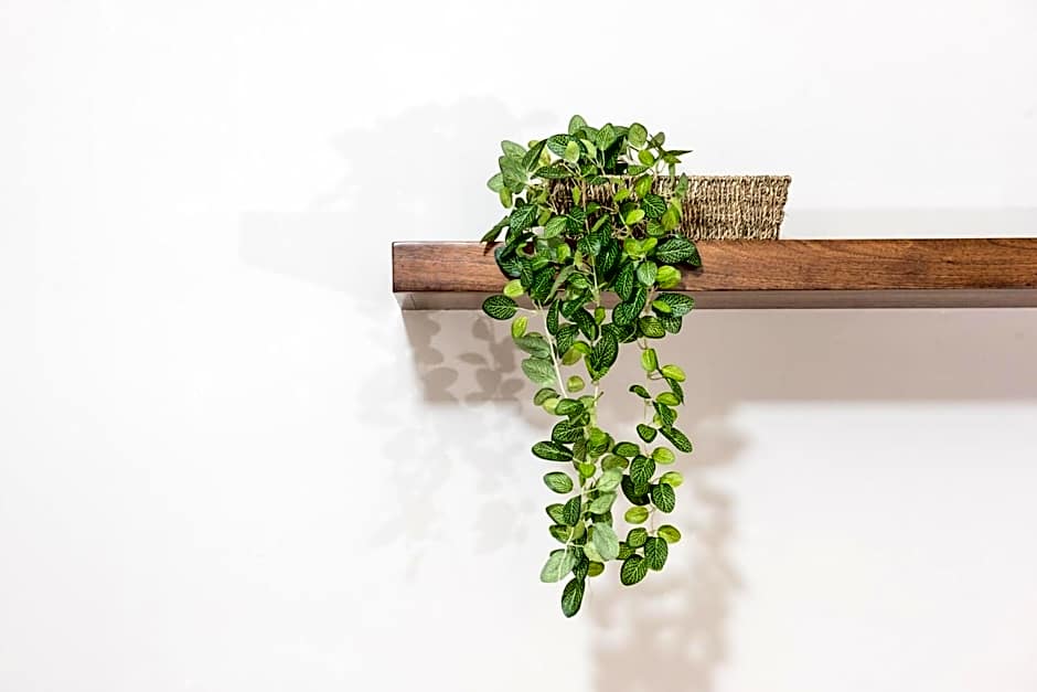 Casa la Feria - Céntrico