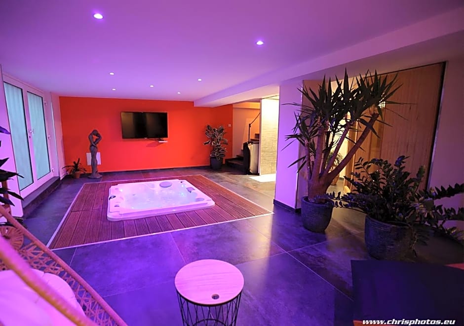 Ds Plaisir Love Room avec sauna, jacuzzi à Nancy