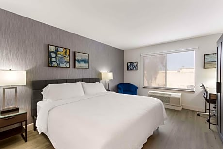 King Room with Mobility Accessible Tub and Sofa Bed