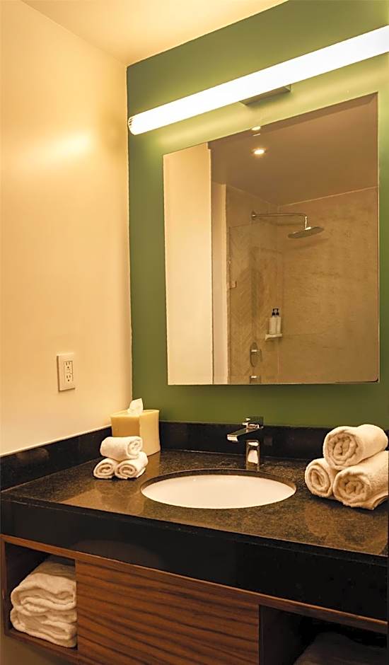 Hilton Garden Inn Mexico City Polanco
