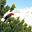 Porto Scoutari Romantic Hotel