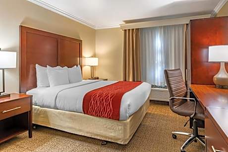 Queen Room - Accessible/Nonsmoking