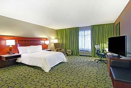 Queen Room with Roll-In Shower - Mobility Access/Non-Smoking