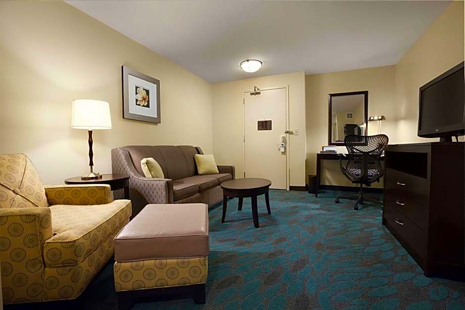 Photo 1 of 6 of Studio 1 King Bed with Sofabed Suite