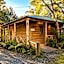 Cradle forest inn