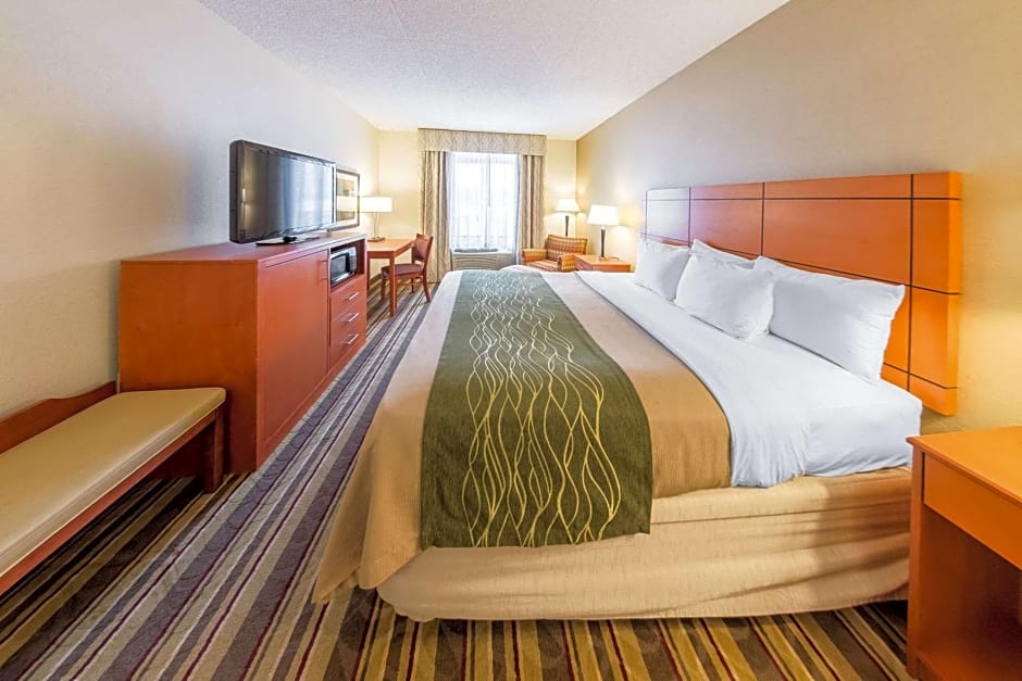 Comfort Inn Metro Airport Romulus
