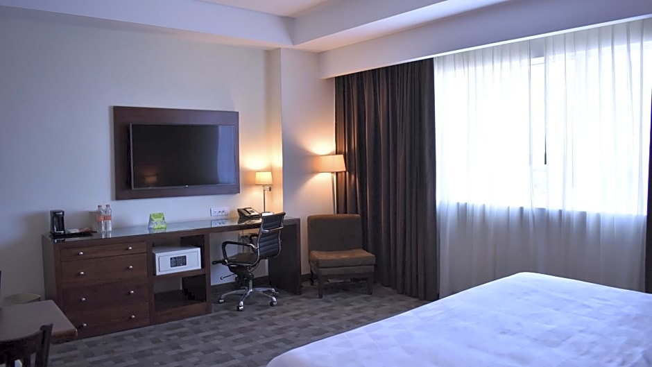 Holiday Inn Leon Plaza Mayor By IHG