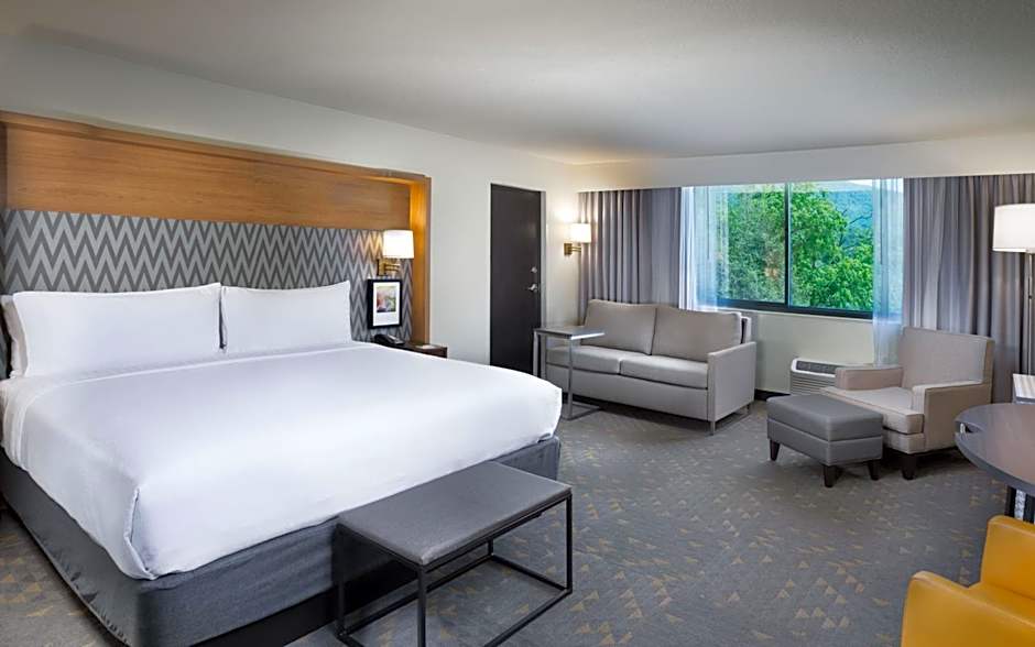 Holiday Inn Asheville East-Blue Ridge PKWY