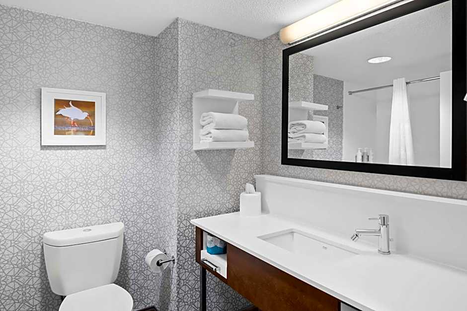 Hampton Inn By Hilton Debary-Deltona