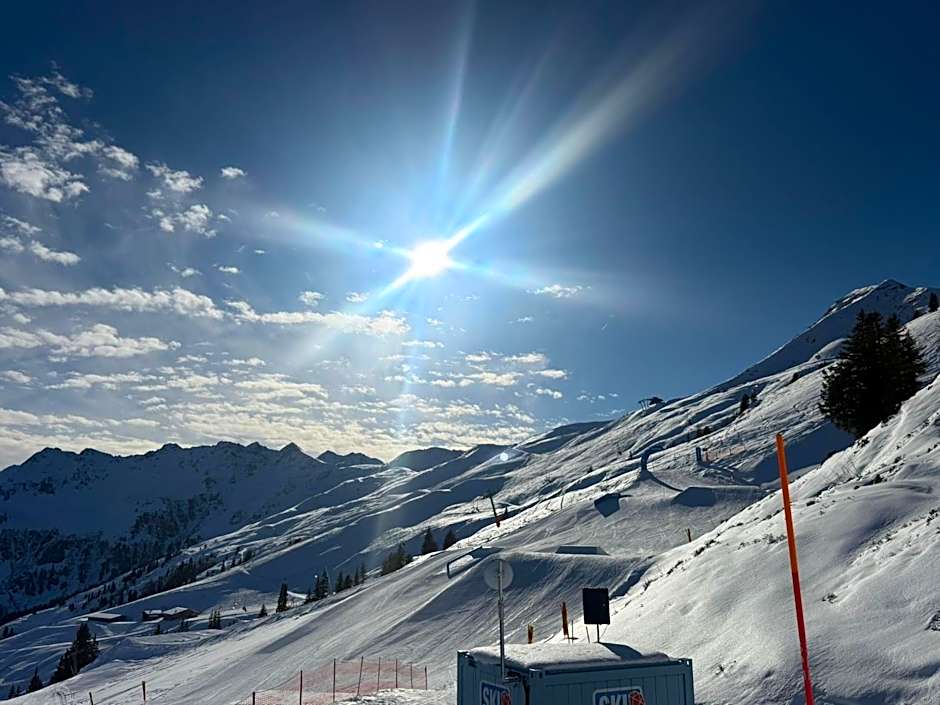 Hotel Alpenhof***