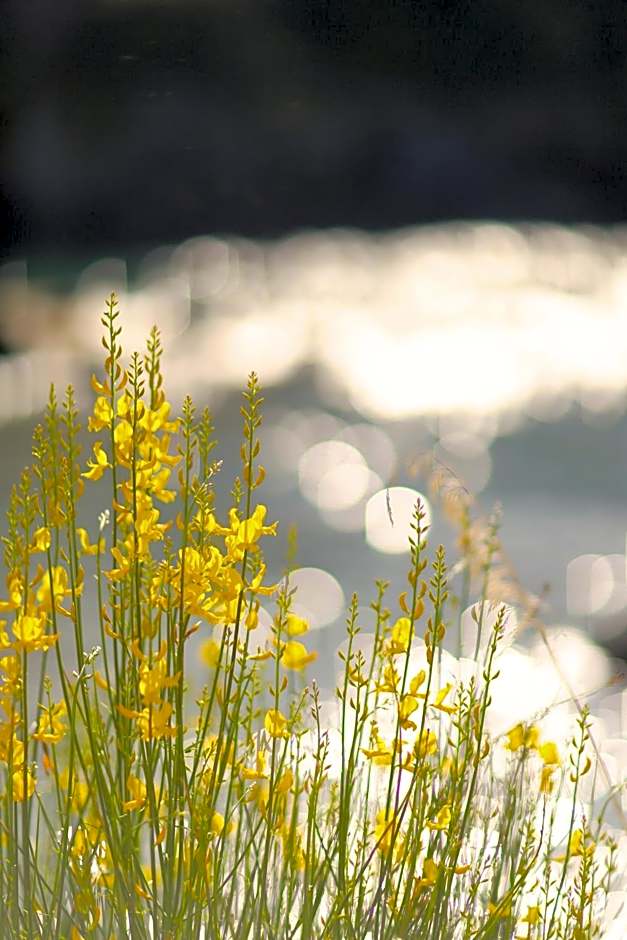 illicini stabilimento balneare e albergo