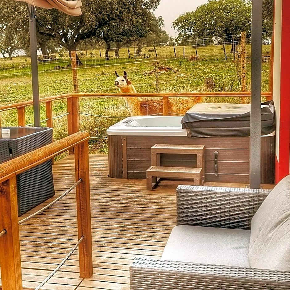 Monte Santa Catarina