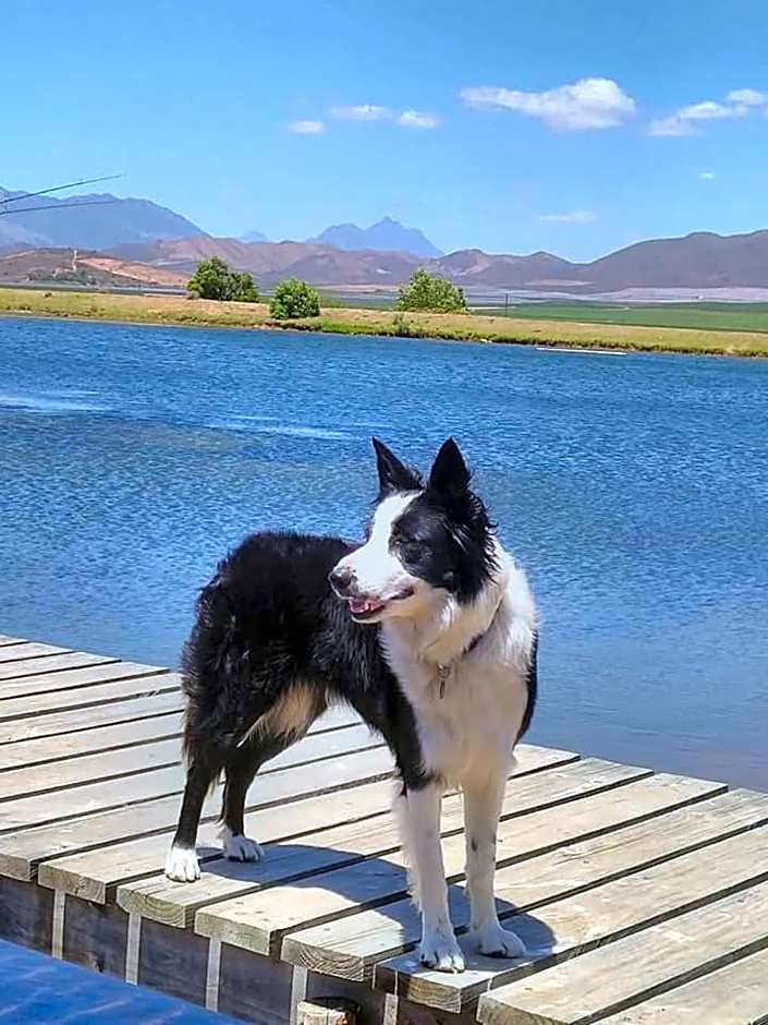 Excelsior Manor Guesthouse