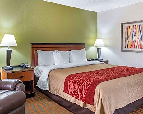 1 King Bed, Nonsmoking